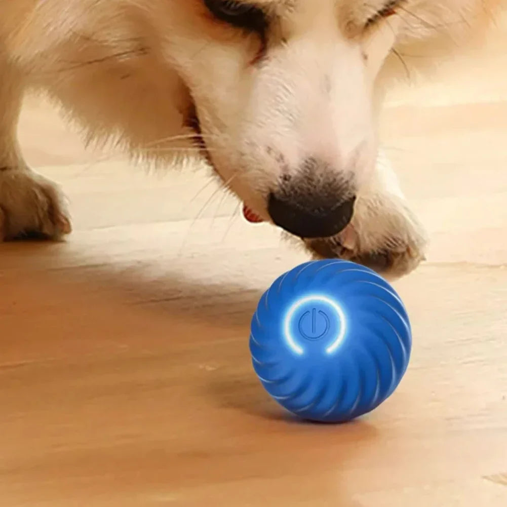 Smart Moving & Bouncing Dog Ball