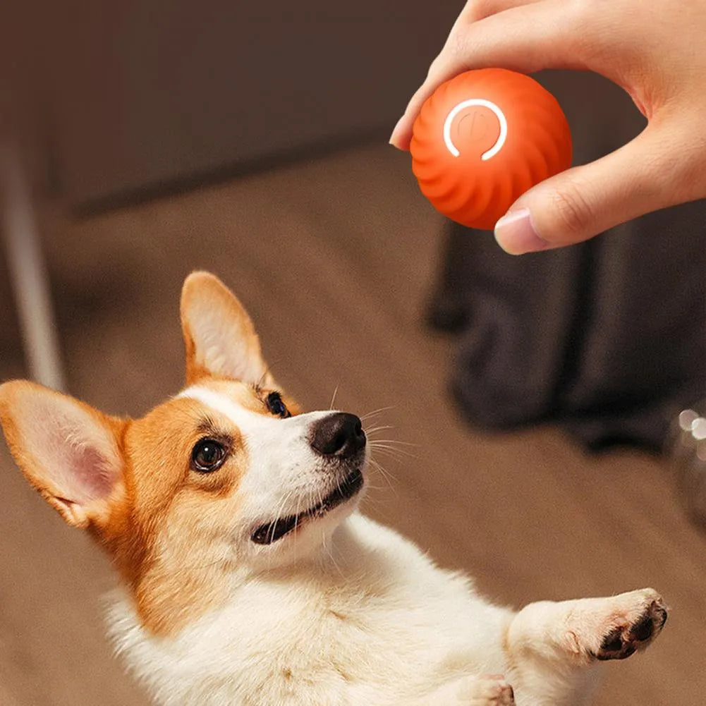 Smart Moving & Bouncing Dog Ball