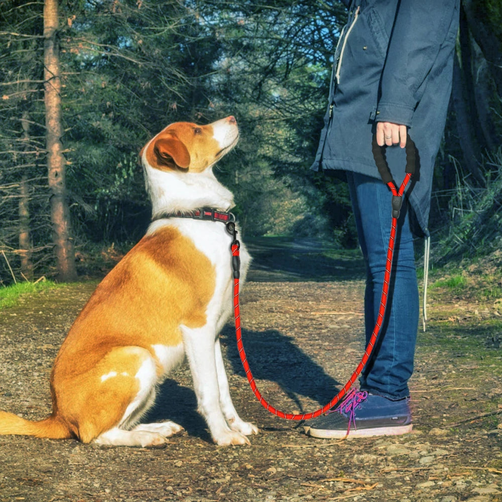 PetkingdomCo Reflective Large Dog Leash