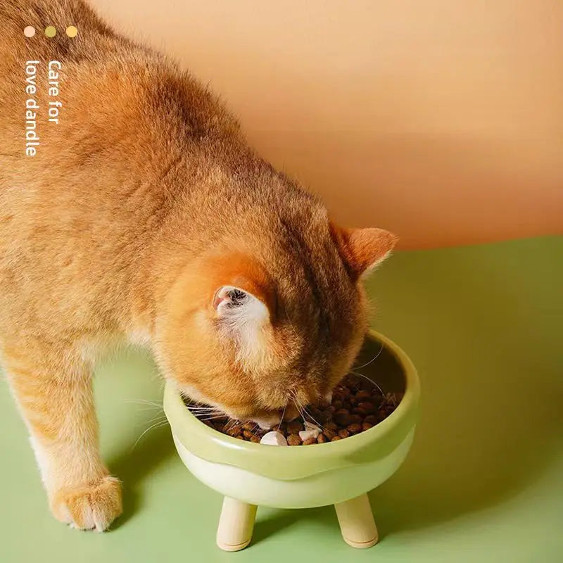 PetkingdomCo Tilted Cat Food Bowl