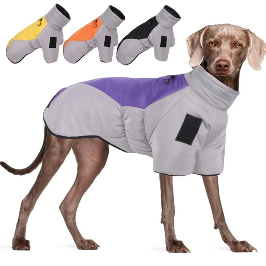 PetkingdomCo Winter Dog Jacket for Large &amp; Medium Dogs