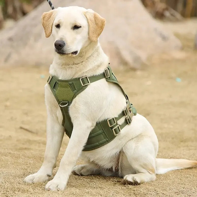 PetkingdomCo Tactical Dog Harness